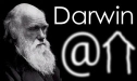 Darwin@Home
