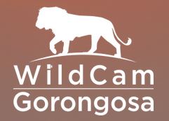 WildCam Gorongosa